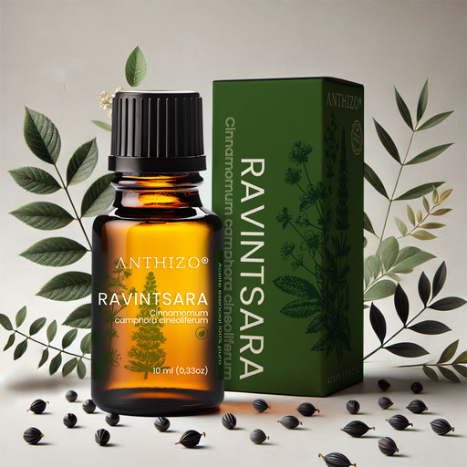Aceite Esencial de Ravintsara 100% Puro, ORGÁNICO, ANTHIZO