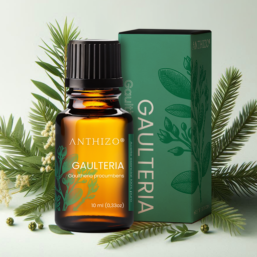 Aceite Esencial de Gaulteria 100% Puro, ANTHIZO
