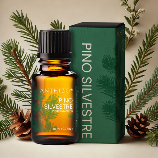 Aceite Esencial de Pino Silvestre 100% Puro, ORGÁNICO, ANTHIZO