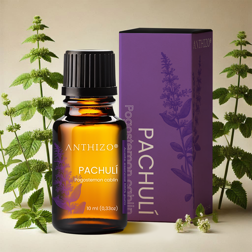 Aceite Esencial de Pachulí 100% Puro, ANTHIZO